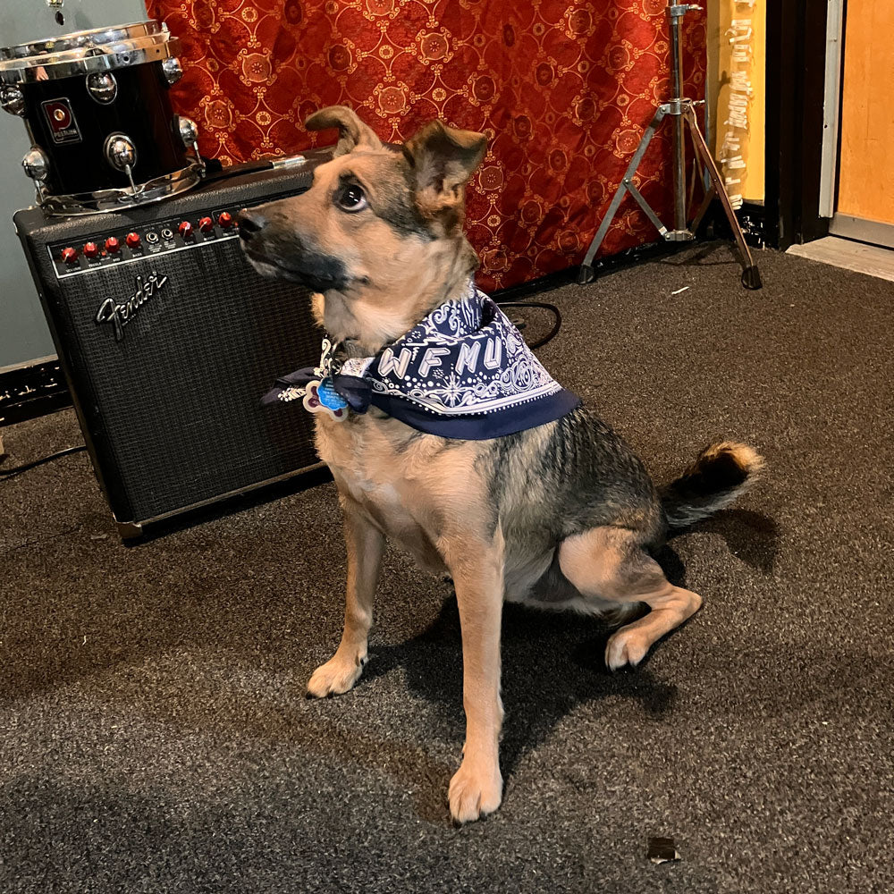 Bandanarama Bandana!