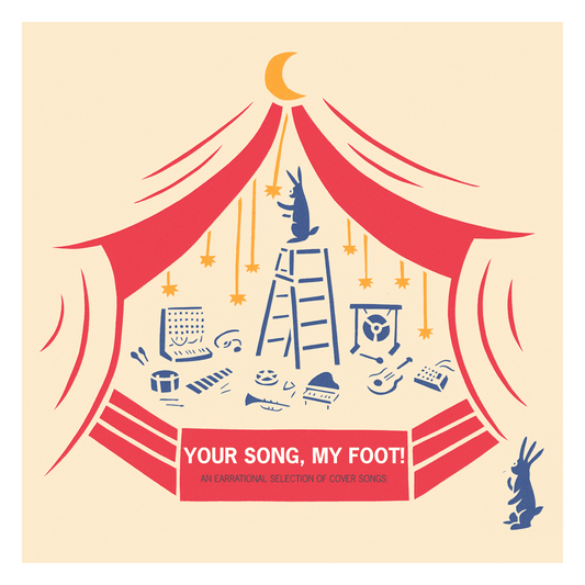 Your Song, My Foot Vol. I – CD Compilation - Only 1 Left!